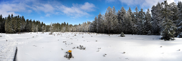 Preview 2016_02_13_schuetzenbergmoor_P2_5400.jpg