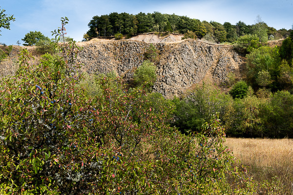 Preview RF_20180824_DSC3037_0147_large.jpg