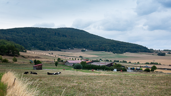 Preview RF_20180824_DSC3284_0394_large.jpg