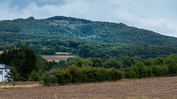 Preview RF_20180824_DSC3290_0400_large.jpg